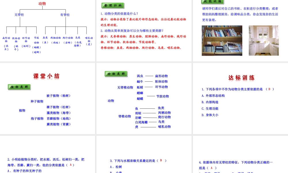 八年级生物上册 6.1.2 尝试对生物进行分类课件 （新版）新人教版