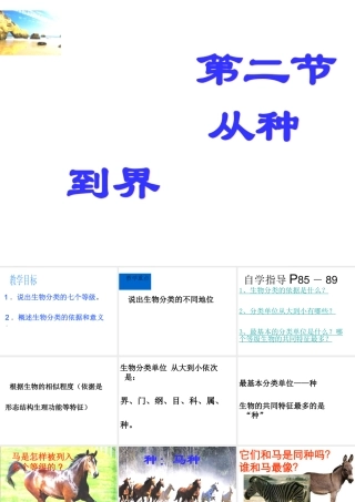 八年级生物上册 6.1.2 从种到界公开课教学课件 （新版）新人教版-（新版）新人教版初中八年级上册生物课件