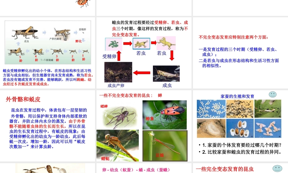 八年级生物上册 19.2《动物的生殖和发育》课件2 （新版）北师大版-（新版）北师大版初中八年级上册生物课件
