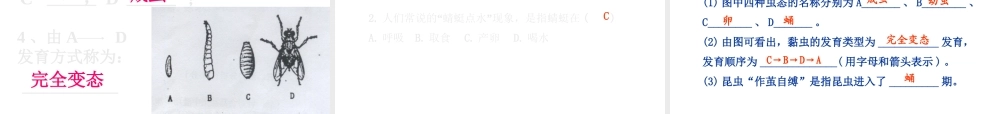 八年级生物上册 19.2《动物的生殖和发育》课件2 （新版）北师大版-（新版）北师大版初中八年级上册生物课件