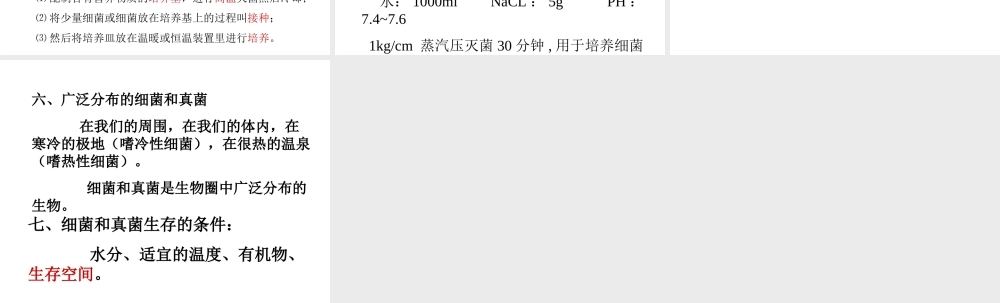 八年级生物上册 5.4.1 细菌和真菌的分布课件2 （新版）新人教版