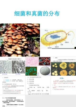 八年级生物上册 5.4.1 细菌和真菌的分布课件2 （新版）新人教版