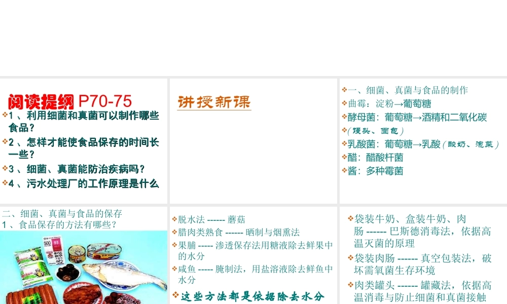 八年级生物上册 5.2 人类对细菌和真菌的利用课件1 新人教版