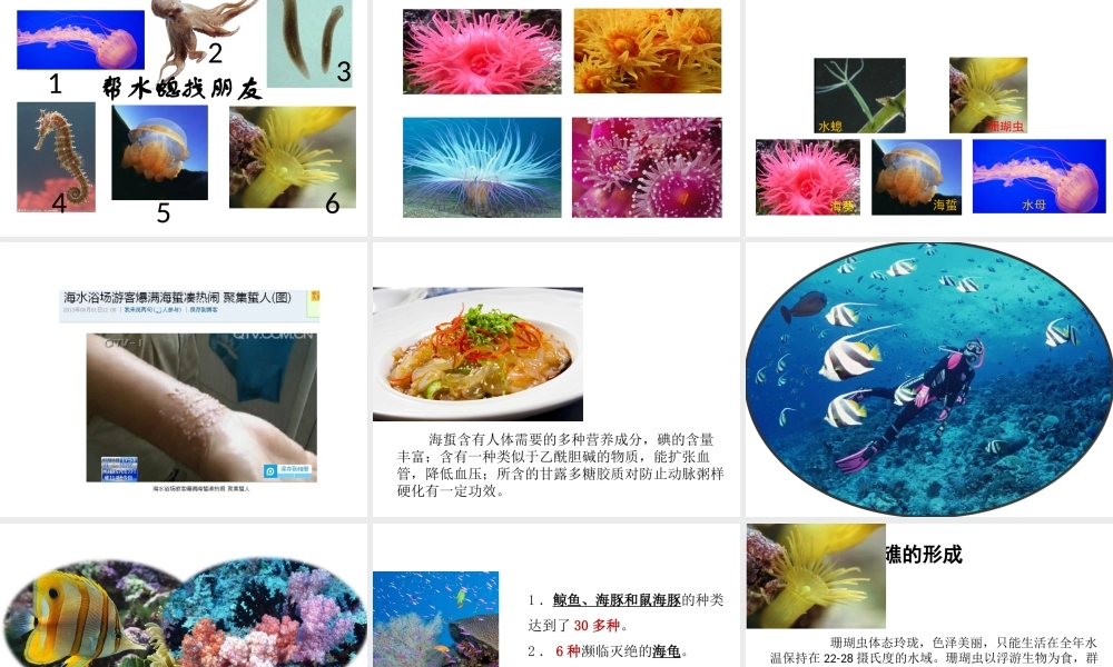 八年级生物上册 5.1.1 腔肠动物和扁形动物（第1课时）课件 （新版）新人教版-（新版）新人教版初中八年级上册生物课件