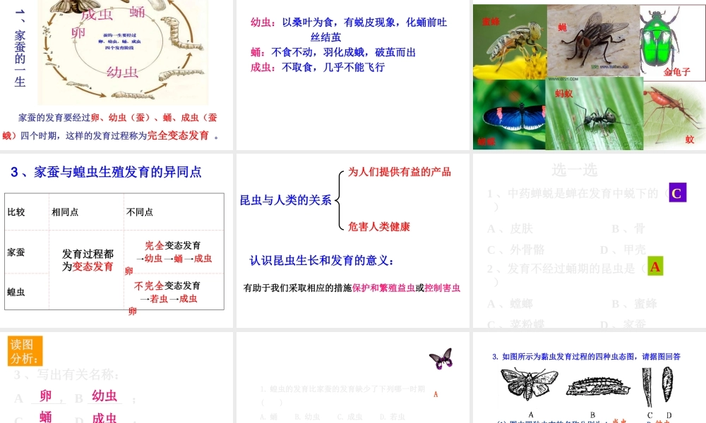 八年级生物上册 19.2《动物的生殖和发育》课件2 （新版）北师大版-（新版）北师大级上册生物课件