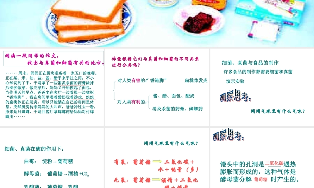 八年级生物上册 5.2 人类对细菌和真菌的利用课件2 新人教版