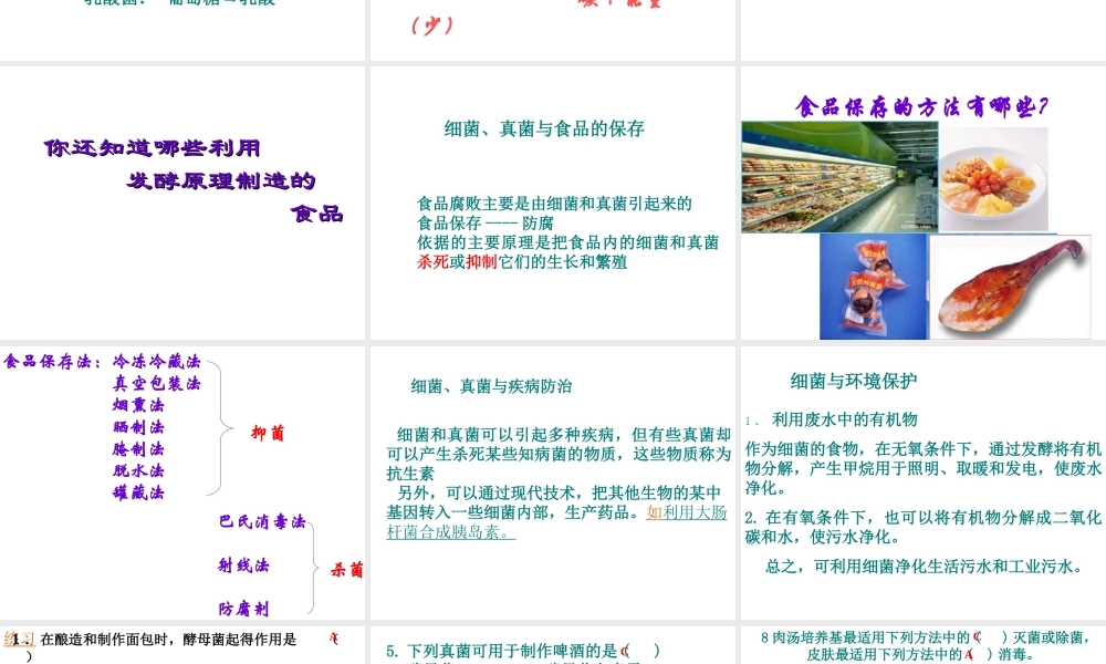 八年级生物上册 5.2 人类对细菌和真菌的利用课件2 新人教版