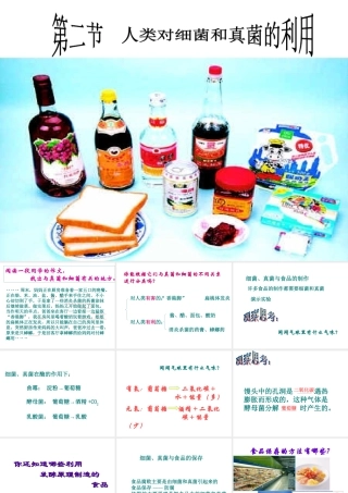 八年级生物上册 5.2 人类对细菌和真菌的利用课件2 新人教版