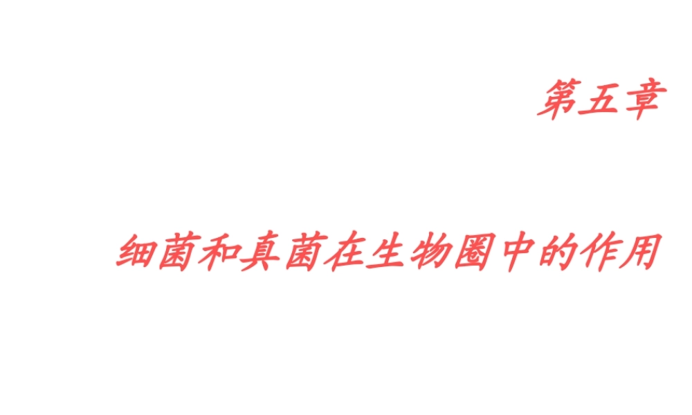 八年级生物上册 5.2 人类对细菌和真菌的利用课件3 新人教版