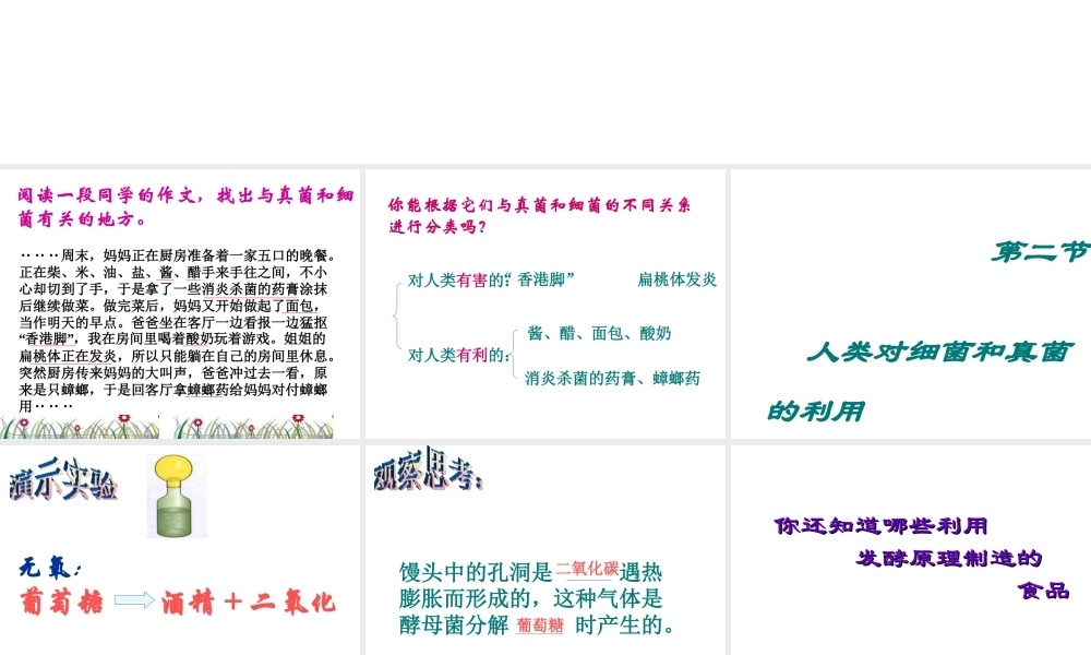 八年级生物上册 5.2 人类对细菌和真菌的利用课件3 新人教版