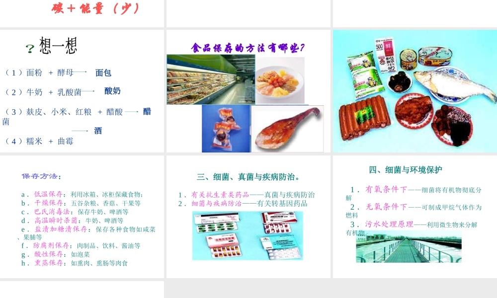 八年级生物上册 5.2 人类对细菌和真菌的利用课件3 新人教版