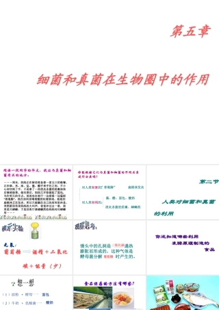 八年级生物上册 5.2 人类对细菌和真菌的利用课件3 新人教版