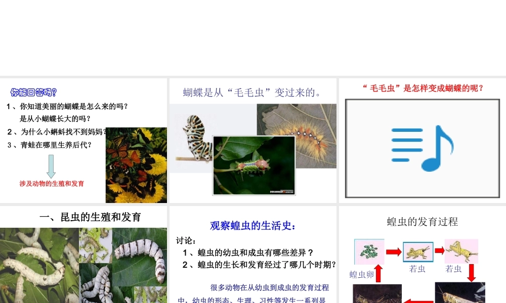 八年级生物上册 19.2《动物的生殖和发育》课件3 （新版）北师大版-（新版）北师大版初中八年级上册生物课件