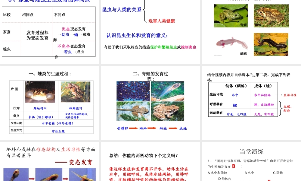 八年级生物上册 19.2《动物的生殖和发育》课件3 （新版）北师大版-（新版）北师大版初中八年级上册生物课件