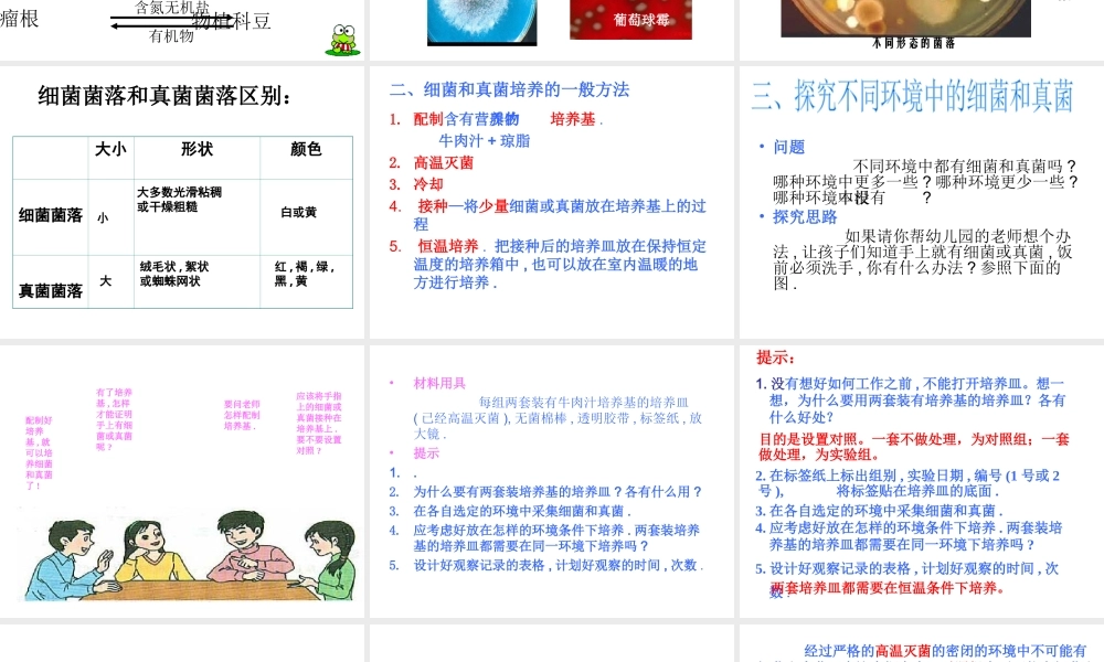 八年级生物上册 5.4.1 细菌和真菌的分布课件3 （新版）新人教版