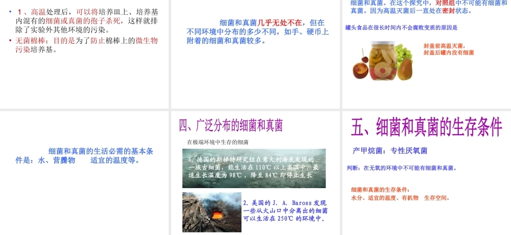 八年级生物上册 5.4.1 细菌和真菌的分布课件3 （新版）新人教版