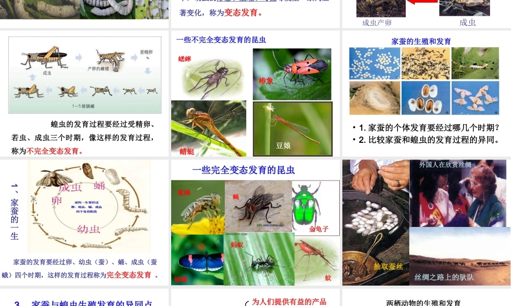 八年级生物上册 19.2《动物的生殖和发育》课件3 （新版）北师大版-（新版）北师大级上册生物课件