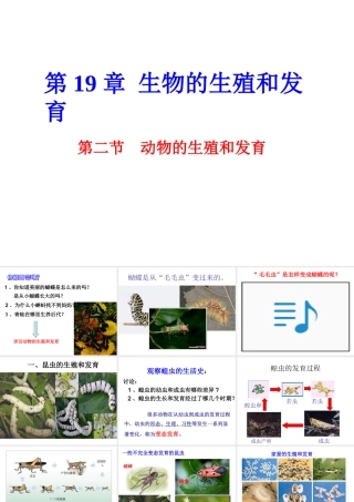 八年级生物上册 19.2《动物的生殖和发育》课件3 （新版）北师大版-（新版）北师大级上册生物课件