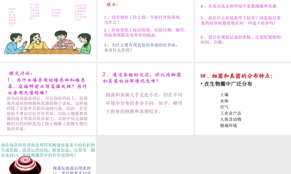 八年级生物上册 5.4.1 细菌和真菌的分布课件4 （新版）新人教版