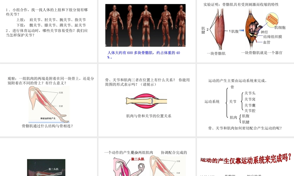 八年级生物上册 5.2.1 动物的运动教学课件 （新版）新人教版