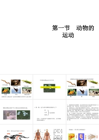 八年级生物上册 5.2.1 动物的运动教学课件 （新版）新人教版