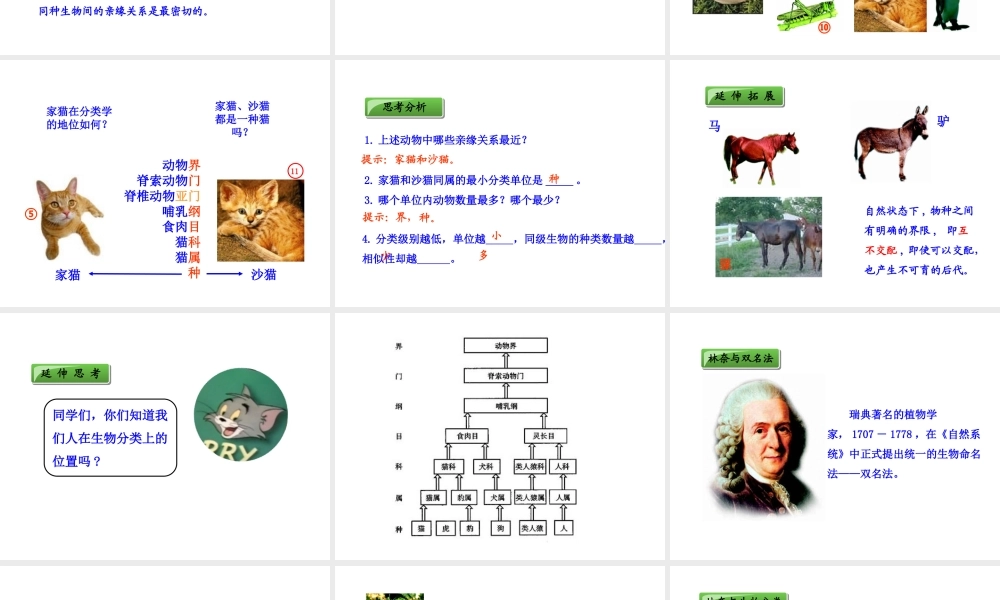 八年级生物上册 6.1.2 从种到界课件 （新版）新人教版