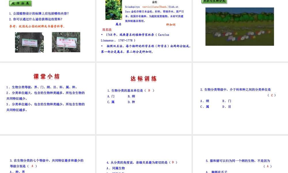 八年级生物上册 6.1.2 从种到界课件 （新版）新人教版