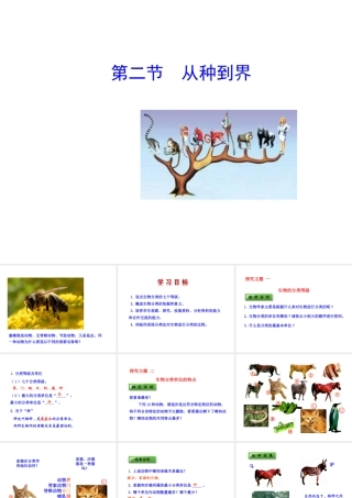 八年级生物上册 6.1.2 从种到界课件 （新版）新人教版