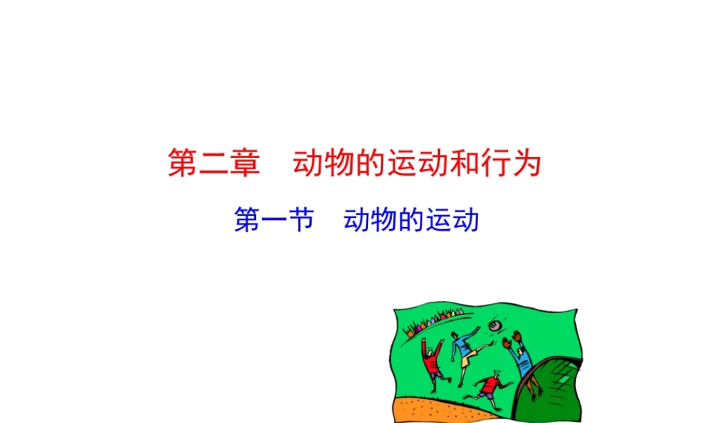 八年级生物上册 5.2.1 动物的运动课件 （新版）新人教版-（新版）新人教版初中八年级上册生物课件