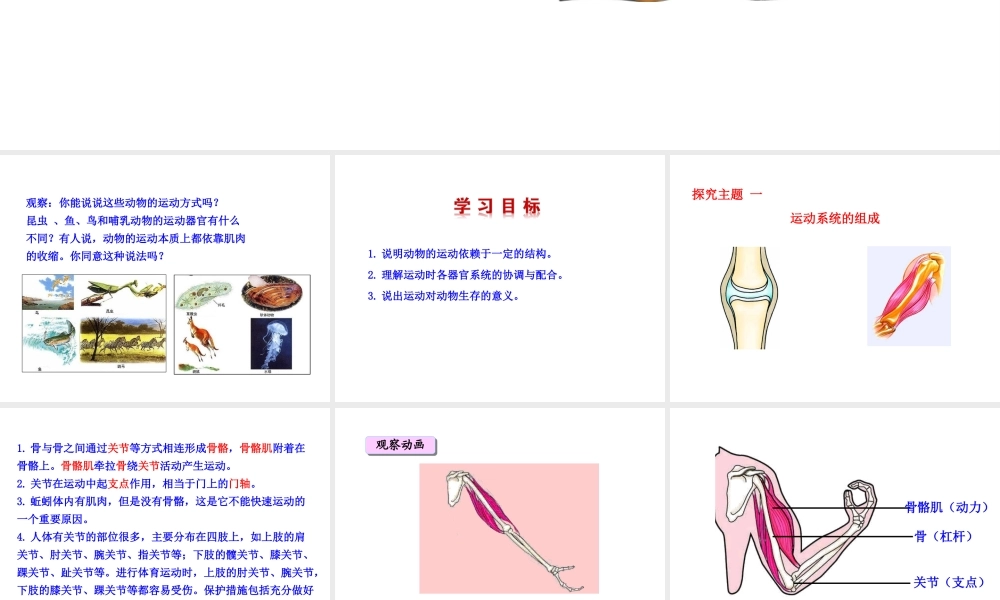 八年级生物上册 5.2.1 动物的运动课件 （新版）新人教版-（新版）新人教版初中八年级上册生物课件