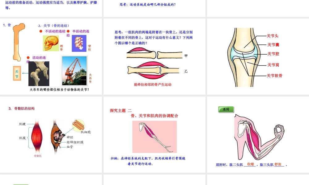 八年级生物上册 5.2.1 动物的运动课件 （新版）新人教版-（新版）新人教版初中八年级上册生物课件