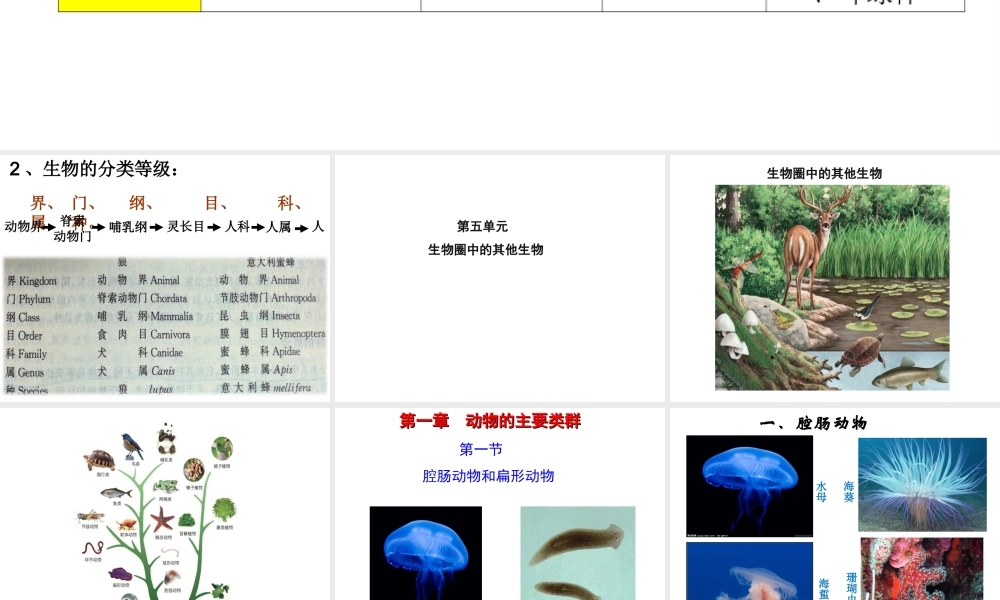 八年级生物上册 5.1.1 腔肠动物和扁形动物课件 （新版）新人教版