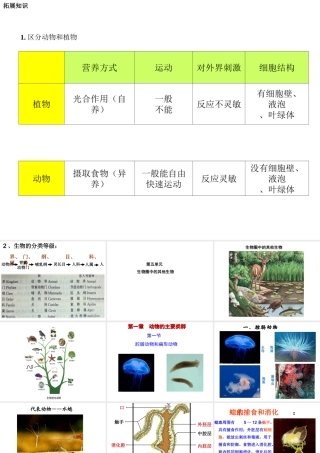 八年级生物上册 5.1.1 腔肠动物和扁形动物课件 （新版）新人教版