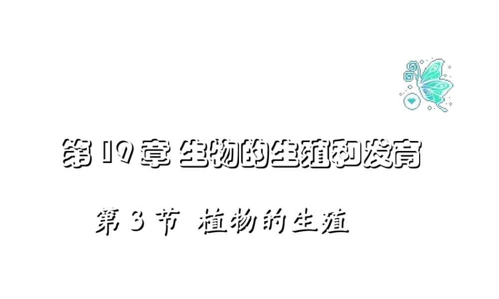 八年级生物上册 19.3 其他生物的生殖课件 北师大版-北师大级上册生物课件