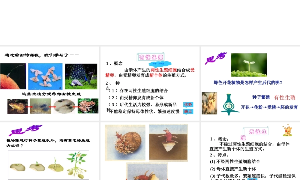 八年级生物上册 19.3 其他生物的生殖课件 北师大版-北师大级上册生物课件