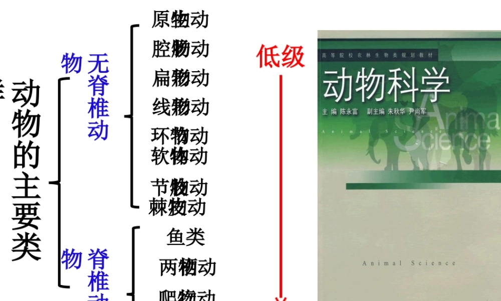 八年级生物上册 5.1.1 腔肠动物和扁形动物课件 （新版）新人教版五四制-（新版）新人教版初中八年级上册生物课件