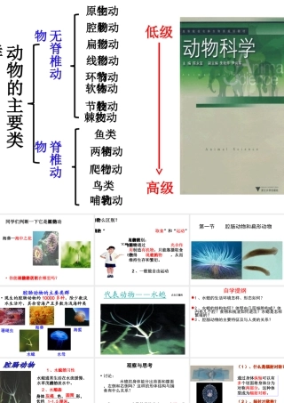 八年级生物上册 5.1.1 腔肠动物和扁形动物课件 （新版）新人教版五四制-（新版）新人教版初中八年级上册生物课件