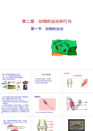 八年级生物上册 5.2.1 动物的运动课件 （新版）新人教版