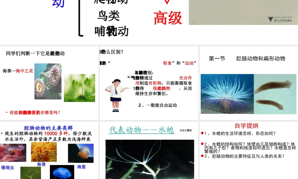 八年级生物上册 5.1.1 腔肠动物和扁形动物课件 （新版）新人教版五四制-（新版）新人教级上册生物课件