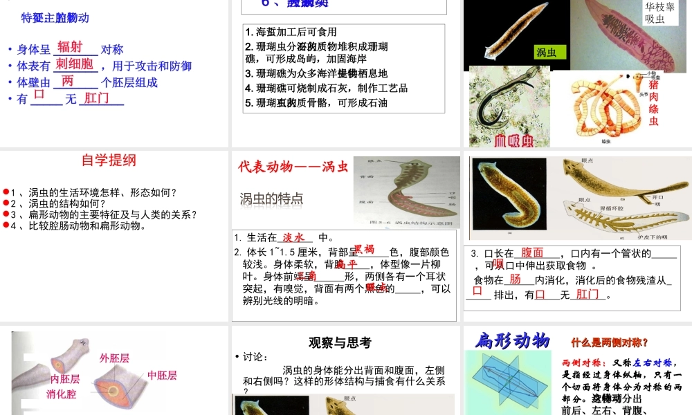 八年级生物上册 5.1.1 腔肠动物和扁形动物课件 （新版）新人教版五四制-（新版）新人教级上册生物课件