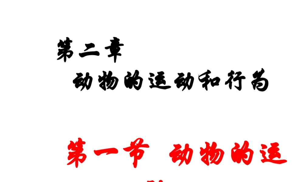 八年级生物上册 5.2.1 动物的运动课件 新人教版