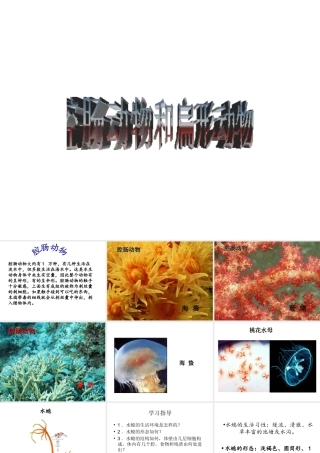八年级生物上册 5.1.1 腔肠动物和扁形动物课件1 （新版）新人教版-（新版）新人教级上册生物课件