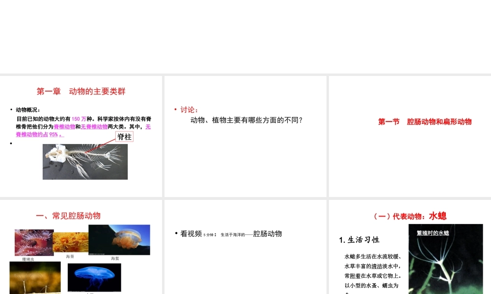 八年级生物上册 5.1.1 腔肠动物和扁形动物课件2 （新版）新人教版-（新版）新人教版初中八年级上册生物课件