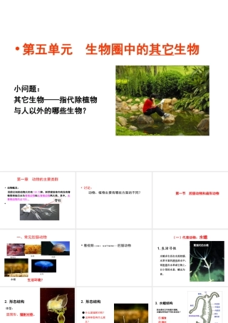 八年级生物上册 5.1.1 腔肠动物和扁形动物课件2 （新版）新人教版-（新版）新人教版初中八年级上册生物课件