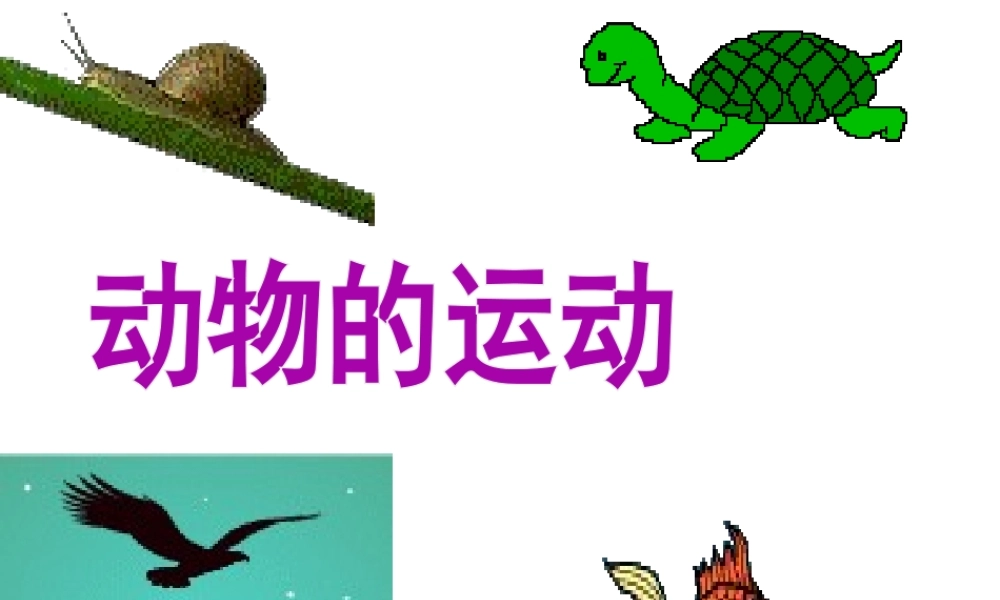 八年级生物上册 5.2.1 动物的运动课件1 （新版）新人教版