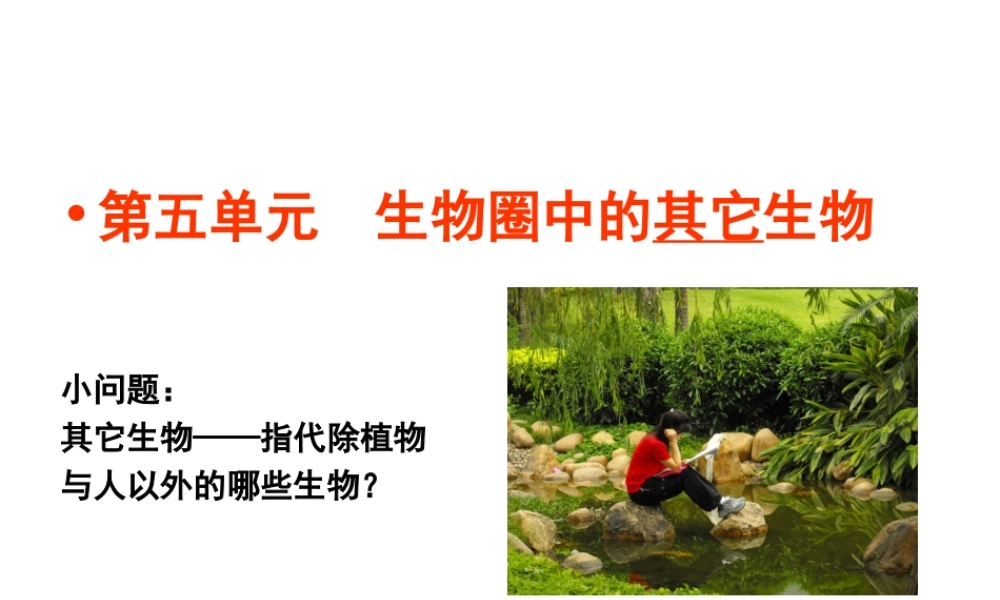 八年级生物上册 5.1.1 腔肠动物和扁形动物课件2 （新版）新人教版-（新版）新人教级上册生物课件