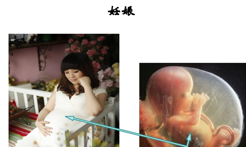 八年级生物上册 19.3《植物的生殖方式》课件1 （新版）北师大版-（新版）北师大版初中八年级上册生物课件