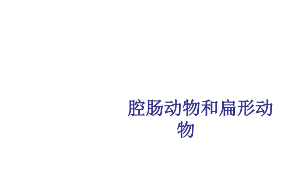 八年级生物上册 5.1.1 腔肠动物和扁形动物课件3 （新版）新人教版-（新版）新人教版初中八年级上册生物课件