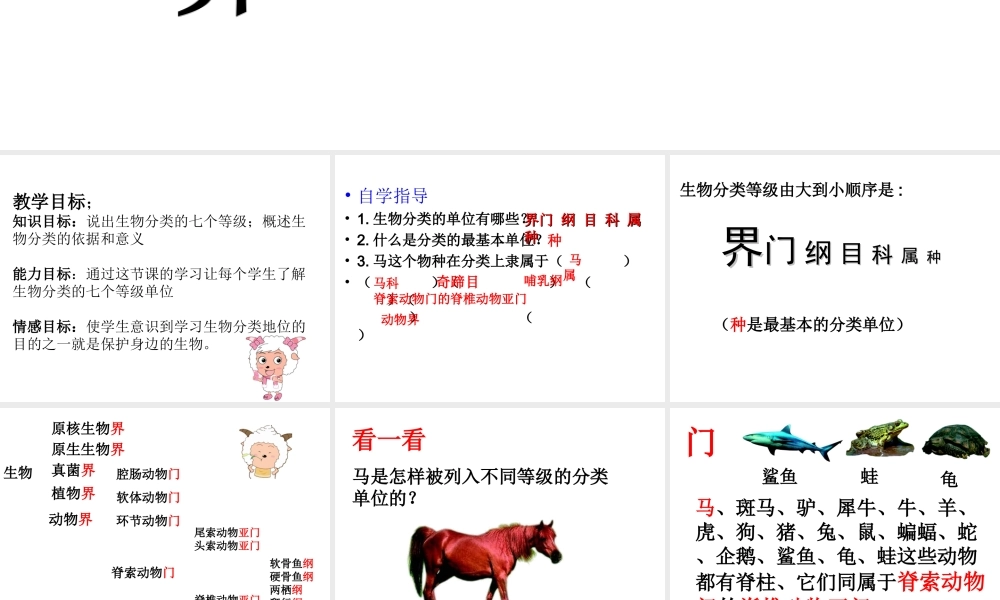 八年级生物上册 6.1.2 从种到界课件1 （新版）新人教版