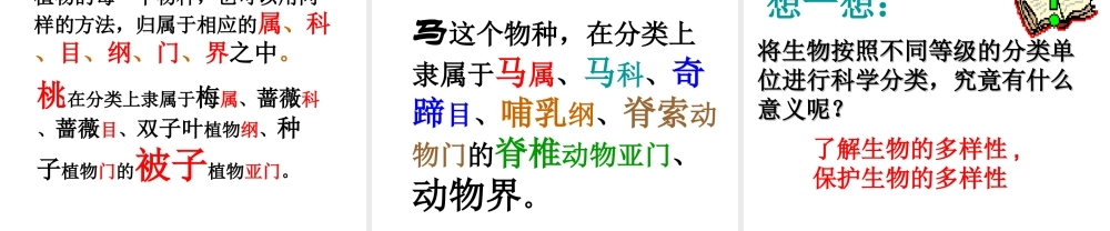 八年级生物上册 6.1.2 从种到界课件1 （新版）新人教版